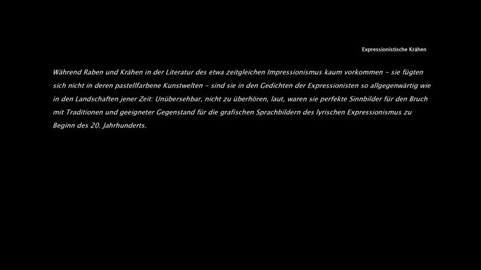 Standbild aus Expressionistische Krähen