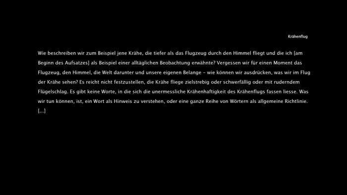 Standbild aus Krähenflug