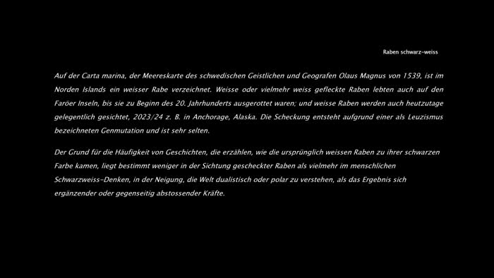 Standbild aus Raben schwarz-weiss