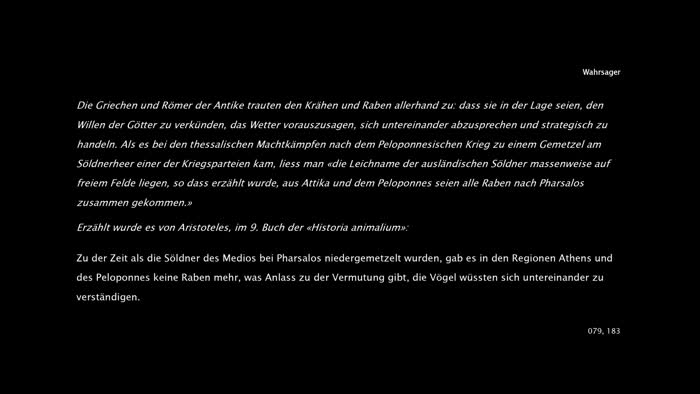 Standbild aus Wahrsager