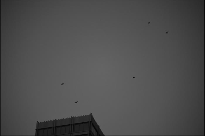 Standbild aus Teil 1, Nacht