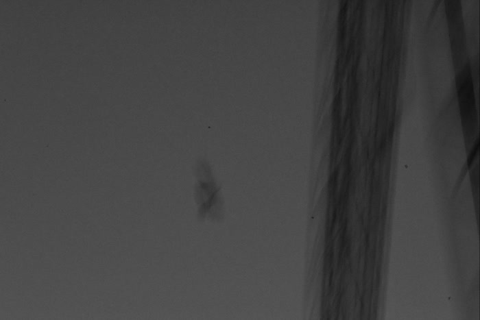 Standbild aus Teil 6, Nacht